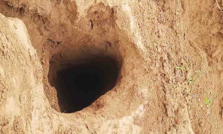 150-metre-long, 30-ft-deep cross-border tunnel found