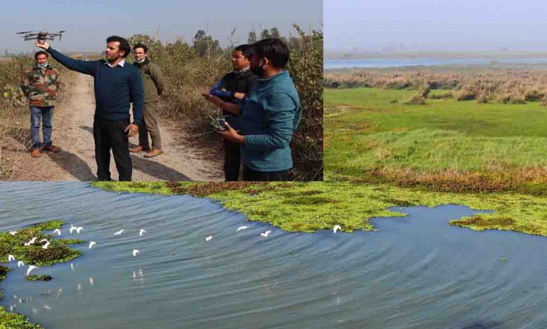 Drones set to monitor migratory birds for signs of bird flu