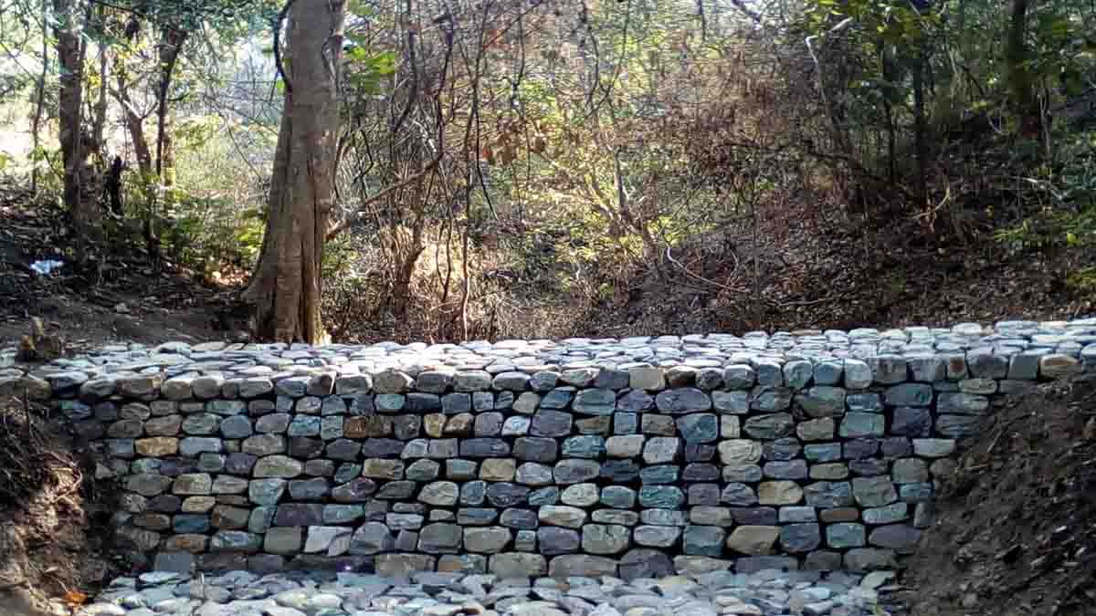 Making earth greener through check dams