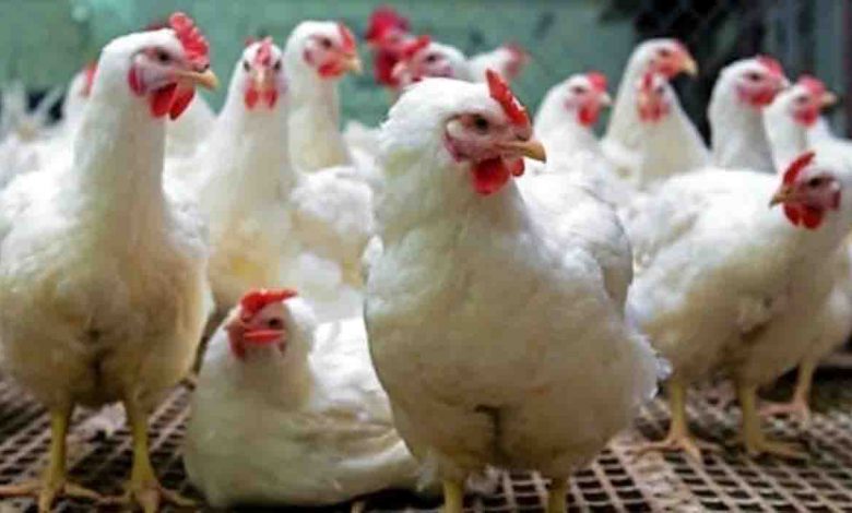 Several people are still buying poultry products but in reduced prices