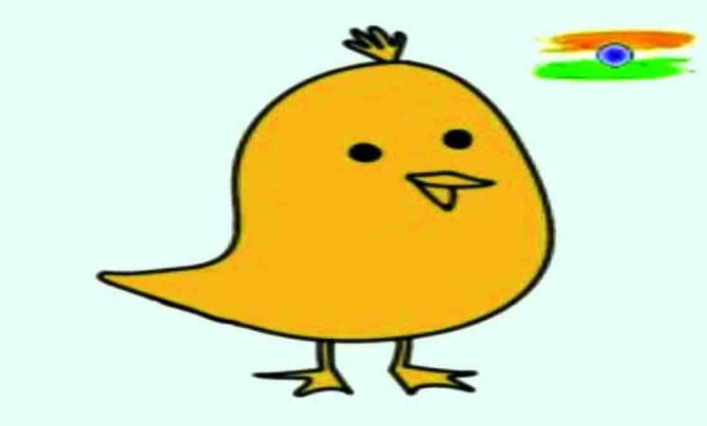 a-koo-koo-here---there-