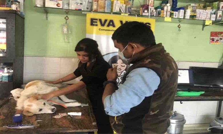 Free Canine First-Aid Workshop Held in Doon