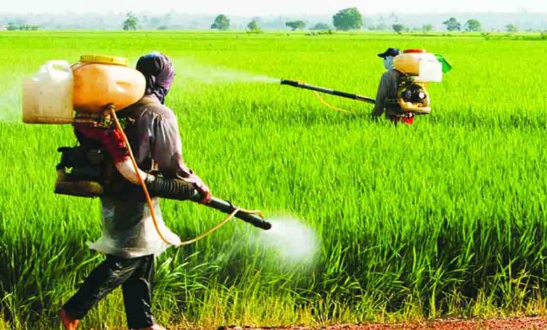 Green Revolution And A Harvest of Cancer