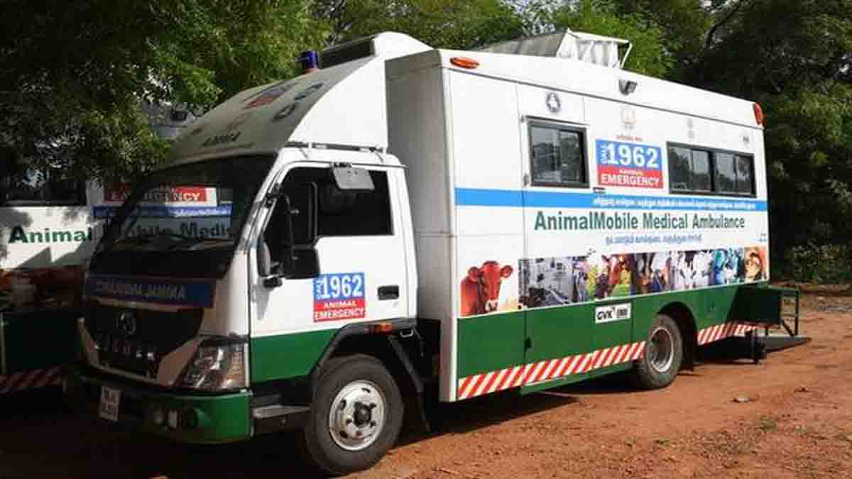 Lack of veterinary ambulance continues to hamper animal welfare - Pioneer  Edge | Uttarakhand News in English | Dehradun News Today| News Uttarakhand  | Uttarakhand latest news