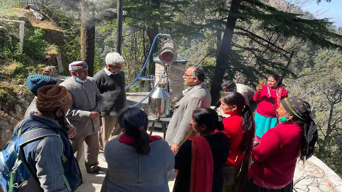 Essential oil extraction can double farmers’ income