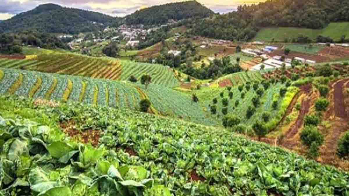 organic farming increasing in uttarakhand