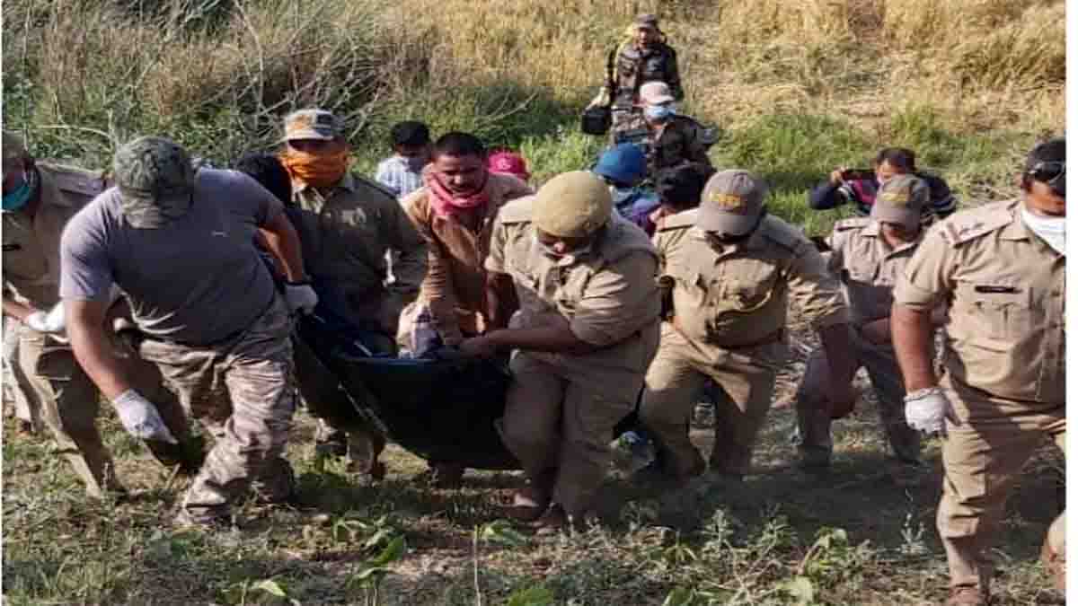Tigress dies after fight with another big cat