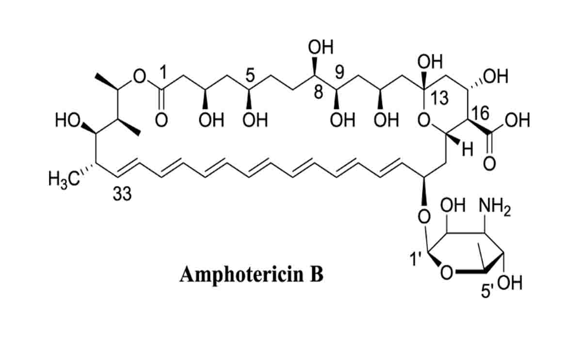 U’khand gets 1500 injections of Amphotericin B