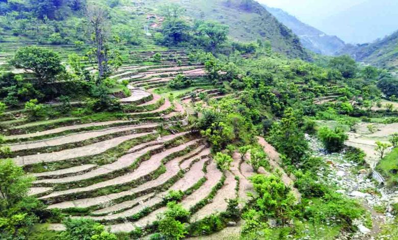 Climate change is playing havoc with farming and people’s lives in Uttarakhand