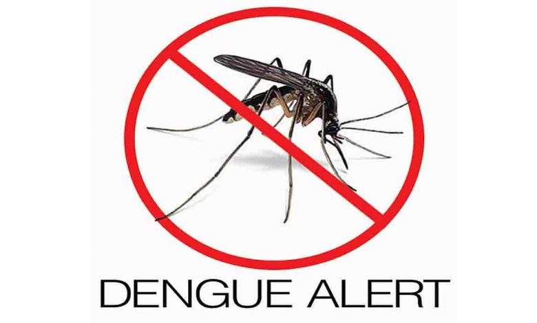 dengue