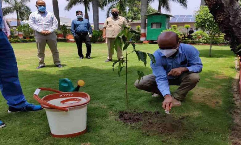 UJVN Ltd celebrates World Environment Day