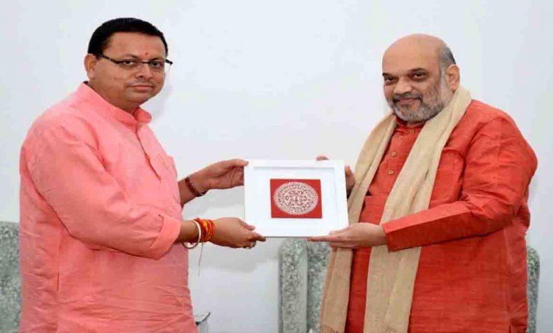 Dhami raises various issues of U’khand with Union ministers