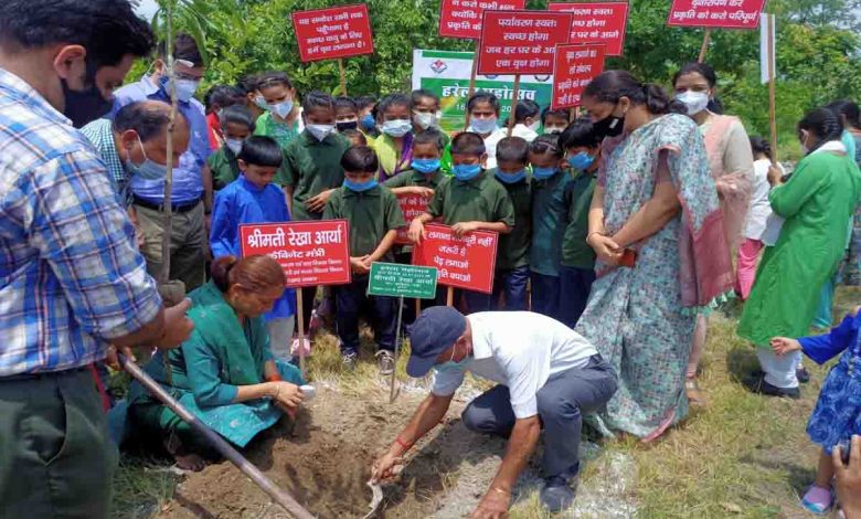 WECD plants saplings in the name of orphans