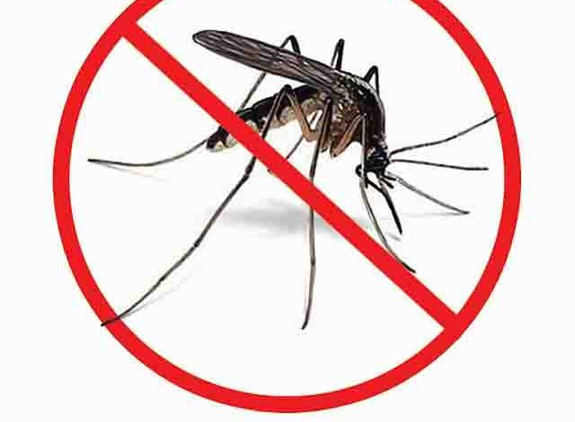 DENGUE