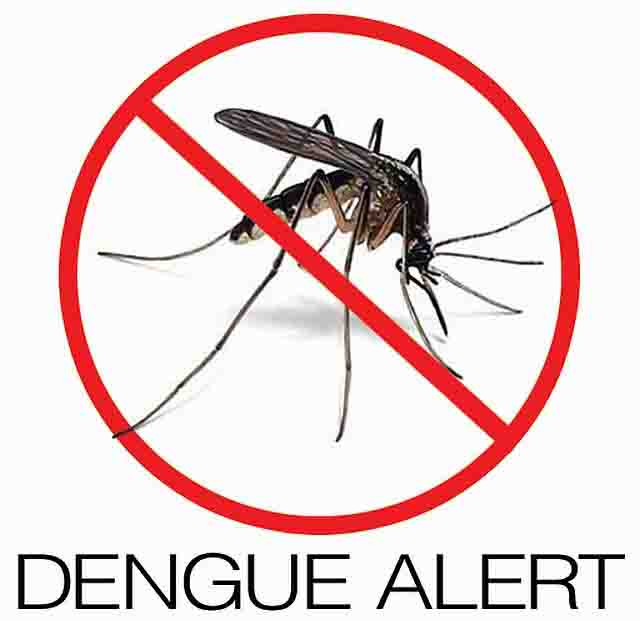 DENGUE
