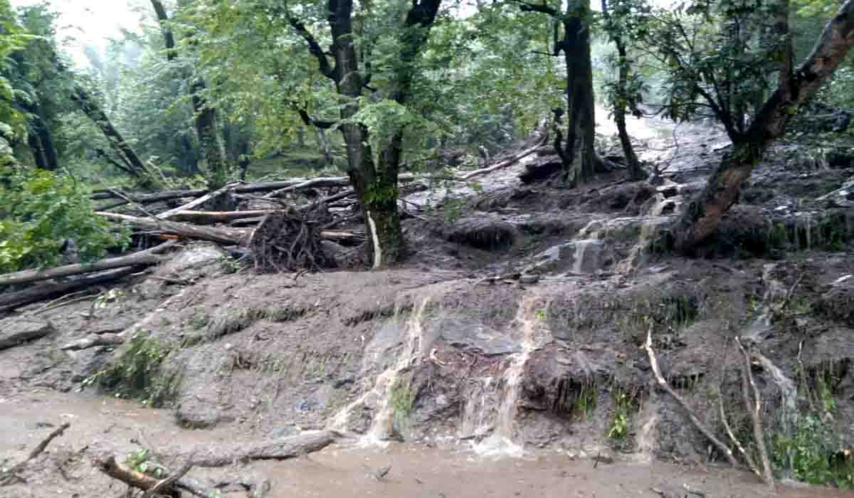Debris from forest block Helang-Urgam road