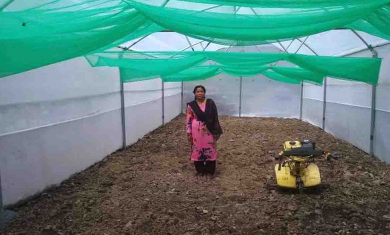 employment opportunities to women