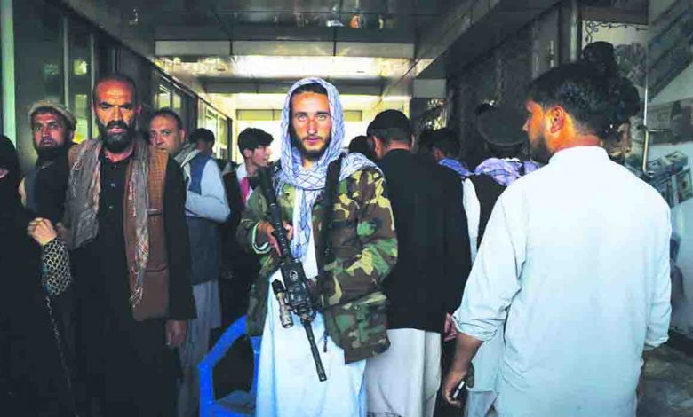 17-killed-in-taliban---s-celebratory-gunfire