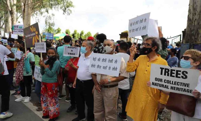 Multitudes oppose planned felling of over 2K trees