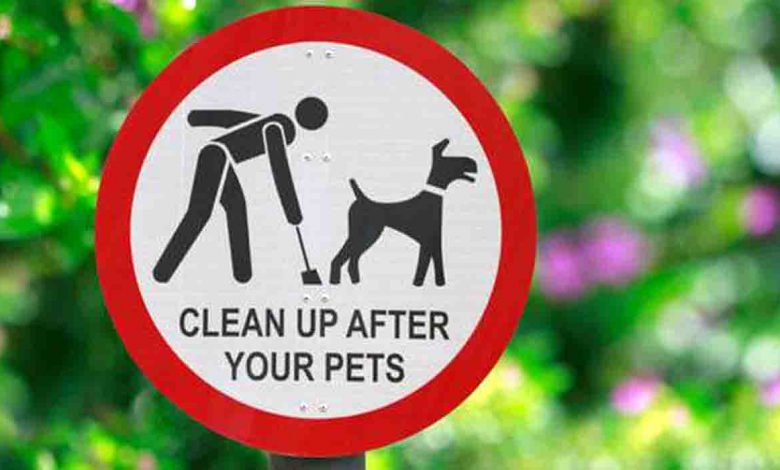 cleaning dog poop