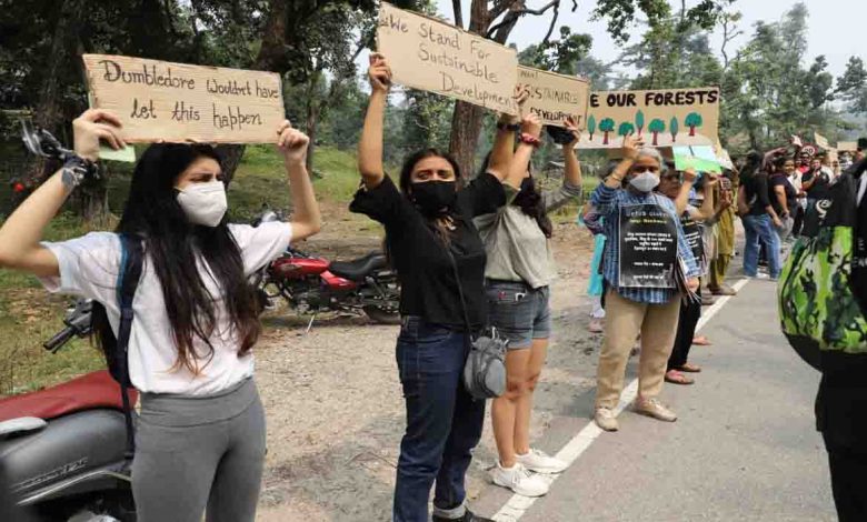 citizens oppose planned felling of 11k trees