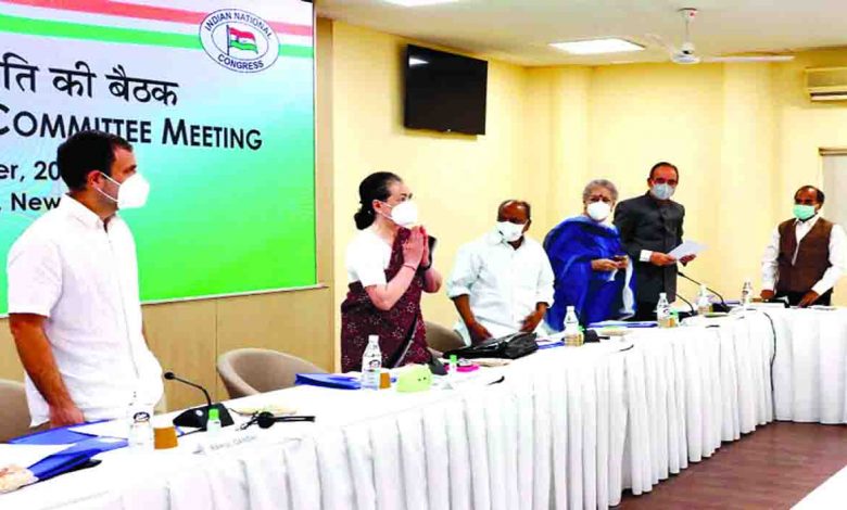 cong-prez--avers-sonia