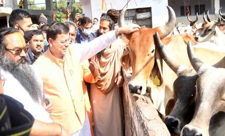 400 plus decisions taken in four months- CM Dhami