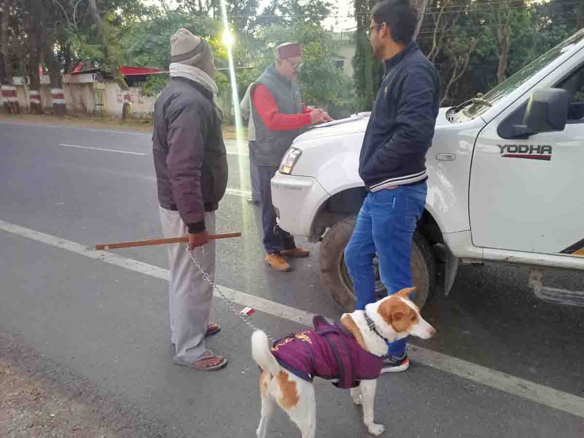 MCD penalises 50 dog owners without dog licenses