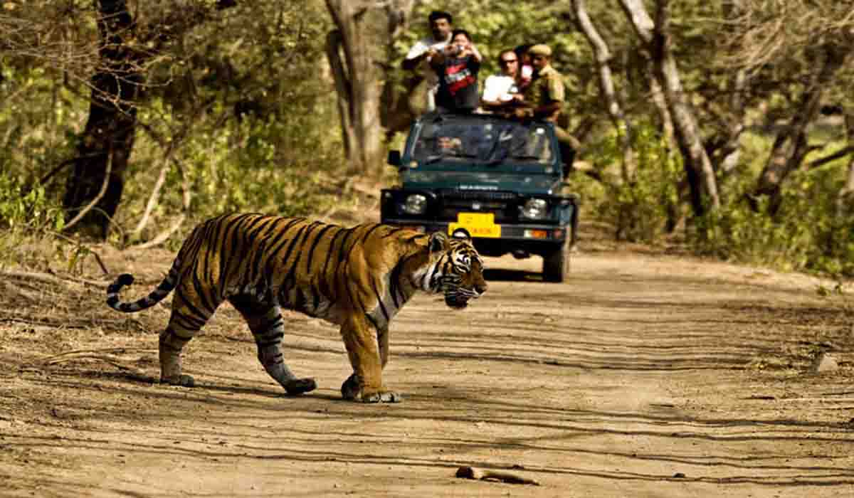 corbett-national-park (1)