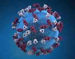 pioneeredge Covid-19 scare in Doon; 11 IFS officers found positive in IGNFA
