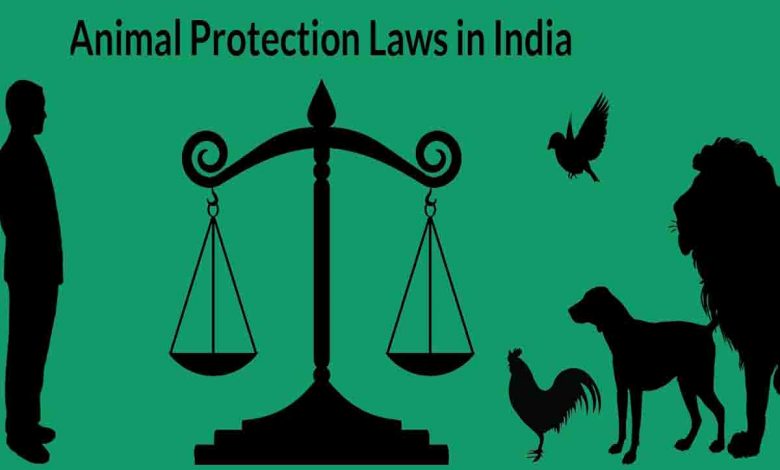 U’khand MLAs urge PM to raise penalty in PCA Act