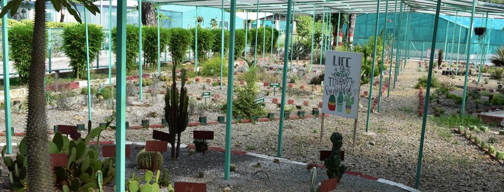 U'khand's first biodiversity gallery opens in Haldwani