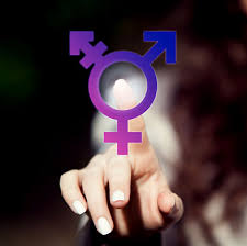 ‘Indifferent approach of political parties causing sufferings of transgenders’