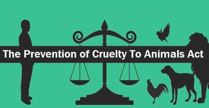 Pricing-Cruelty