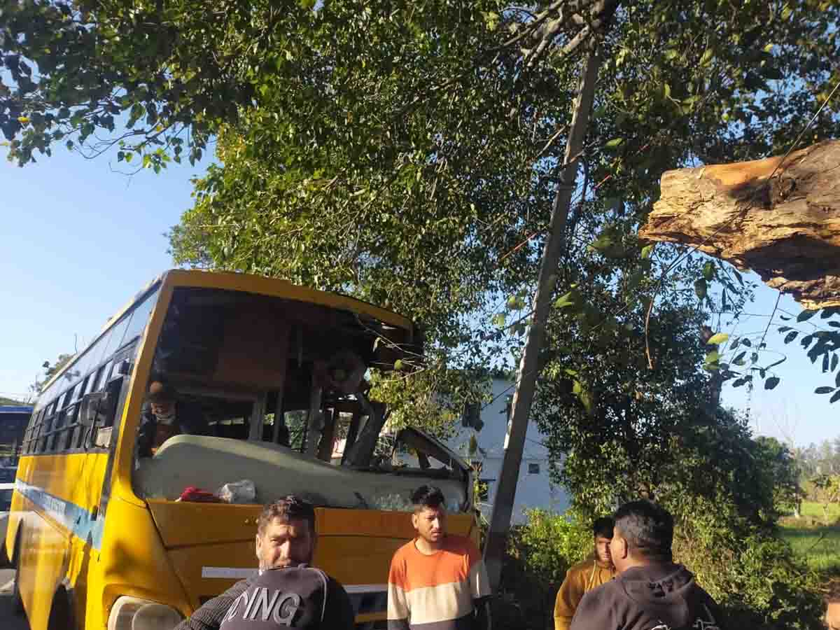 School girl killed after school bus crashes into tree