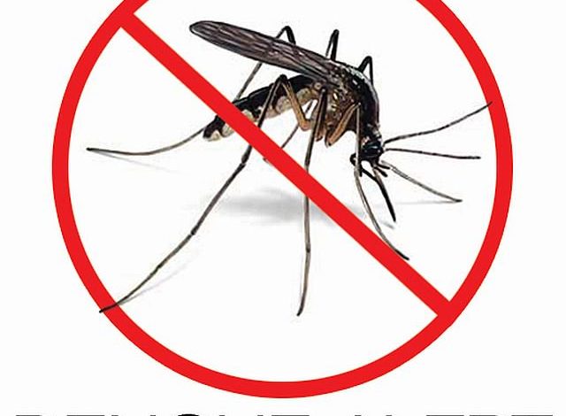 dengue