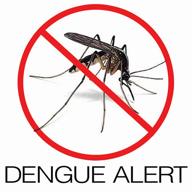 dengue