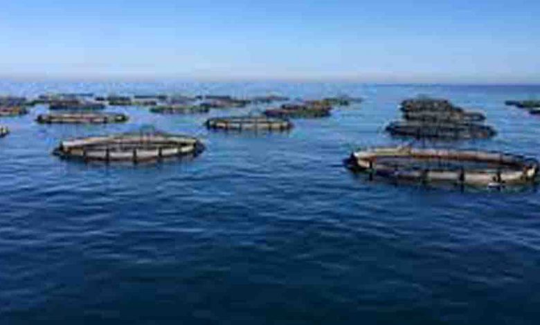 Time ripe for coastal States to prepare blue economy strategy