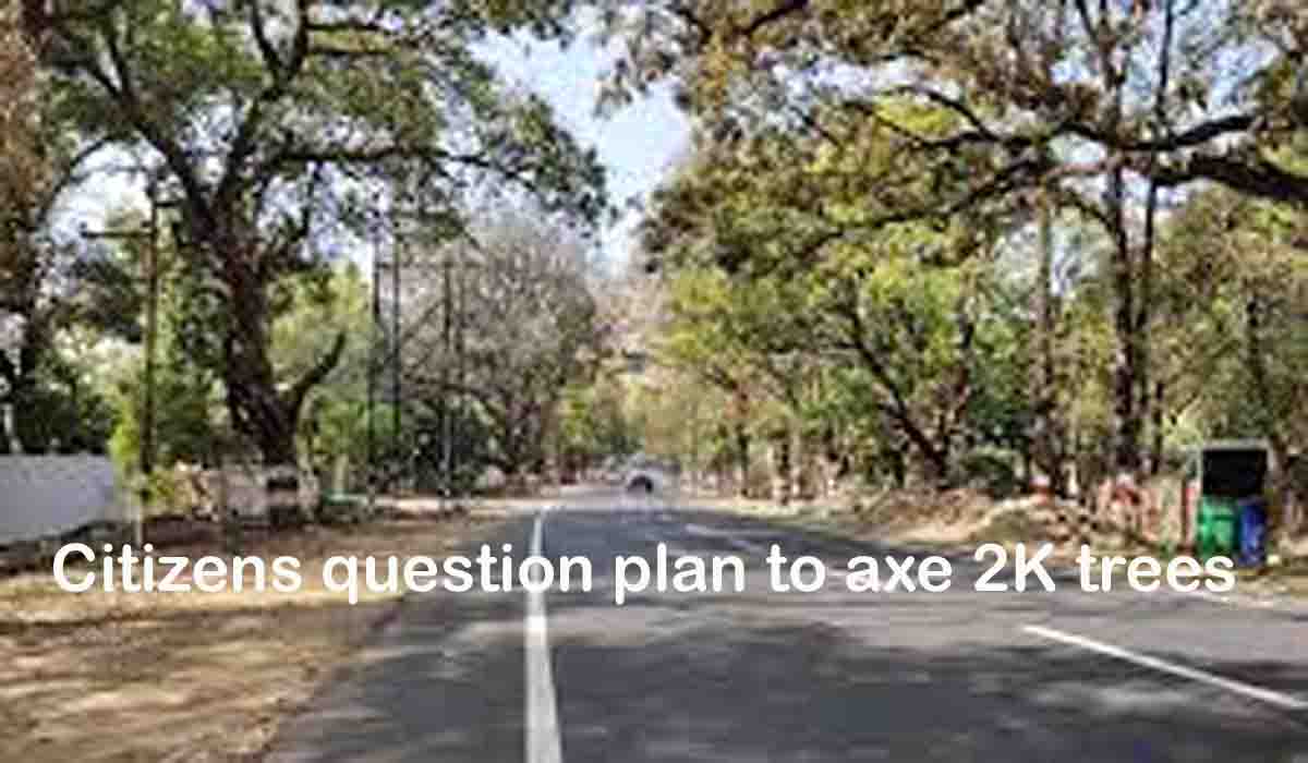 plan to axe 2K trees