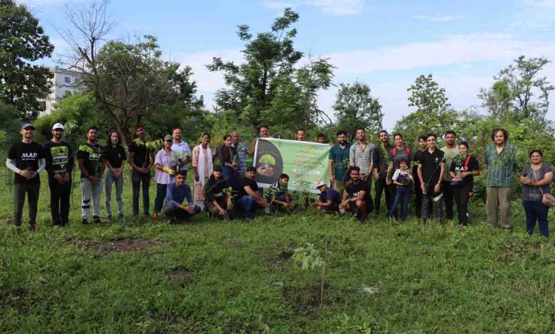The Pioneer & MAD plant fruit & other trees to mark Harela