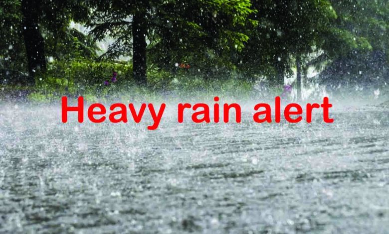 rain alert