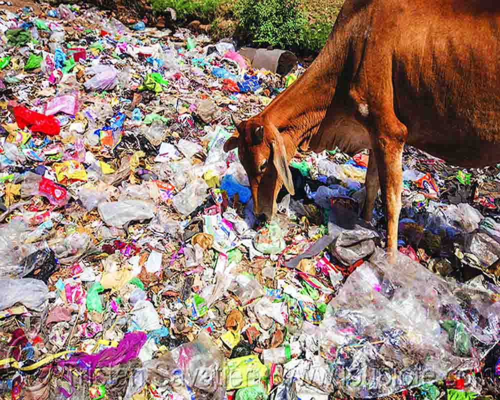HC pulls up State Govt for inaction on plastic waste management