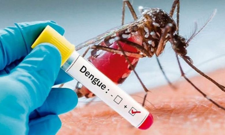 Dengue threat continues to loom over Doon, Haridwar