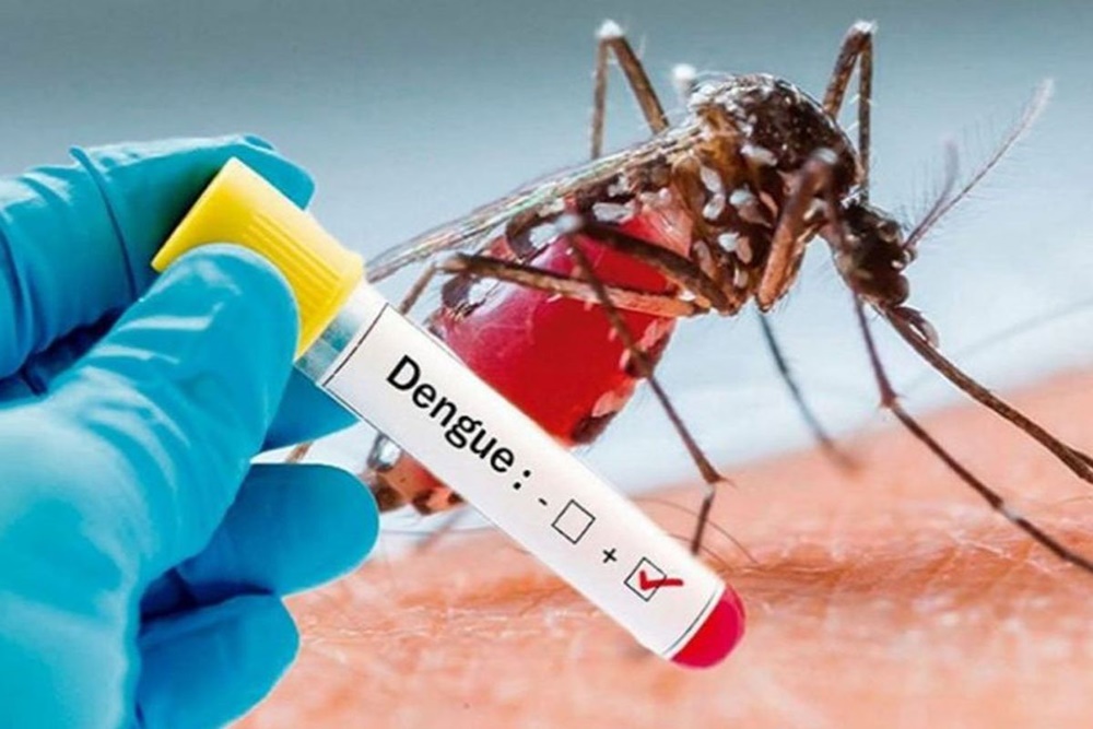 Dengue threat continues to loom over Doon, Haridwar