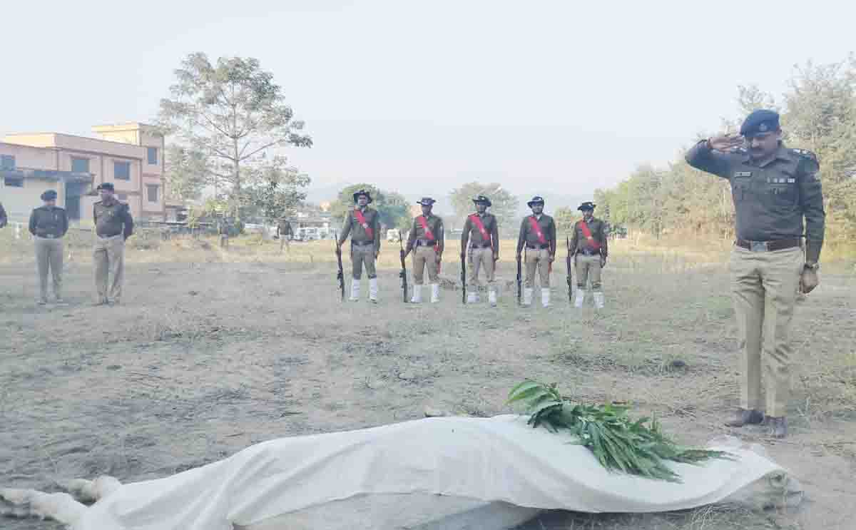 Police horse Raja dies after 20 years of service