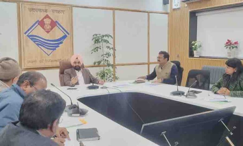 Conduct research on different uses of pirul Sandhu