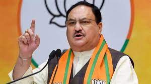 Prevent damage to public, maximise party efforts for relief and rescue in Joshimath: Nadda