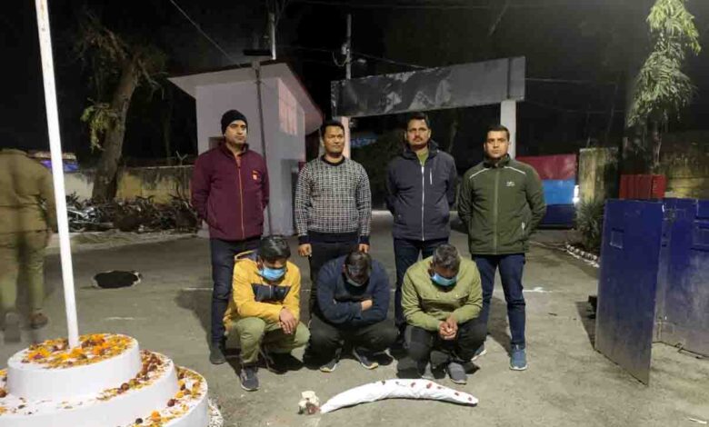 Trio nabbed with elephant tusk in Kaladhungi