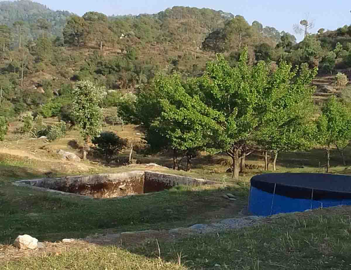 Department converts barren land into fruit orchard