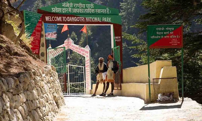 Gangotri national park